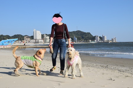 15101616.jpg