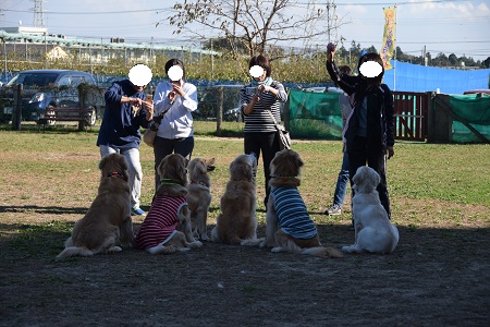 15111116.jpg