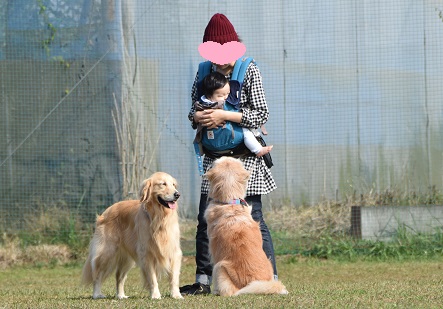 15111513.jpg