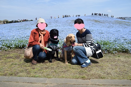 16041804.jpg