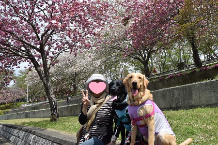 16051427.jpg