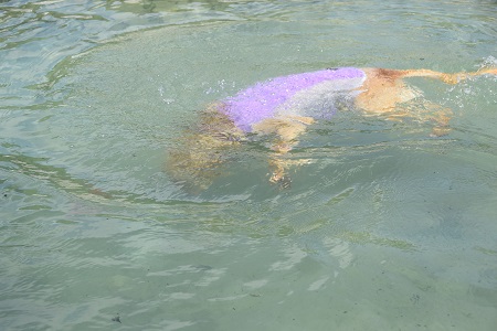 16082611.jpg