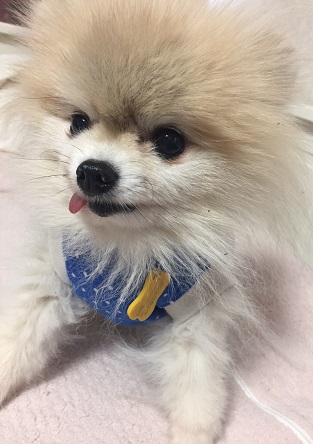 17050101.jpg