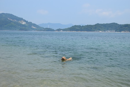 17072001.jpg