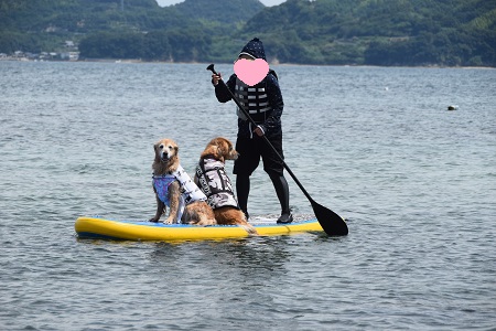 17073012.jpg