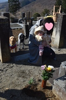 18032101-thumbnail2.jpg