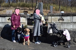 18032102-thumbnail2.jpg