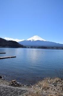 18032103-thumbnail2.jpg