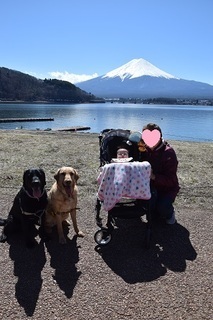 18032107-thumbnail2.jpg