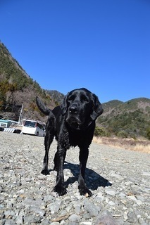 18032112-thumbnail2.jpg