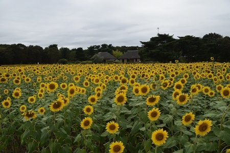 18082010.jpg