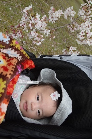 19042404.jpg