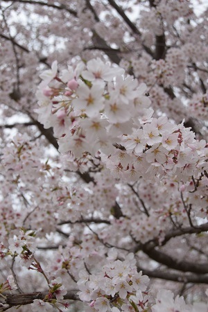 19042405.jpg