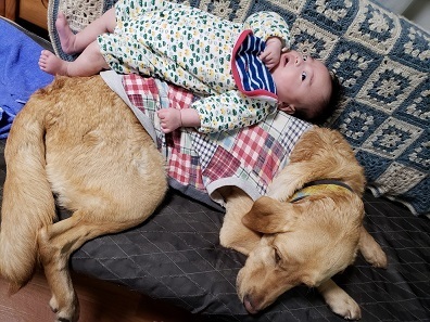 19042603.jpg