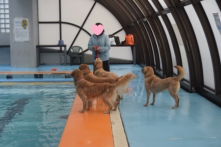 19052517.jpg