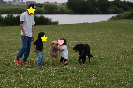 19060501.jpg