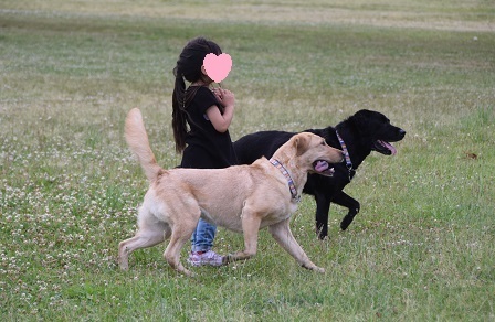 19060503.jpg