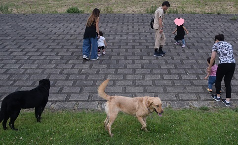 19060504.jpg