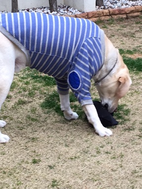 ロック1.jpg