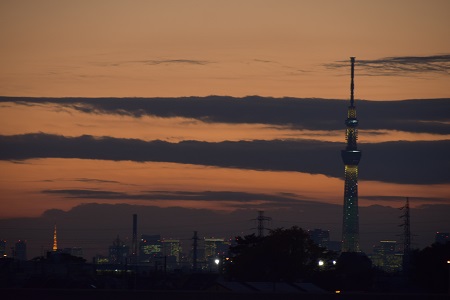 15120108.jpg