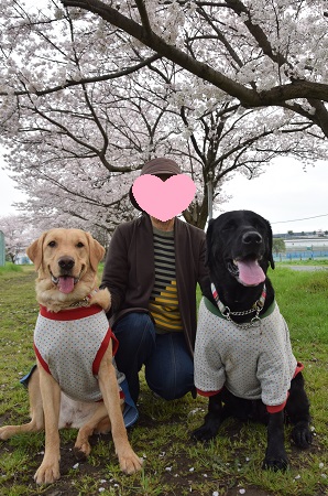 16040402.jpg