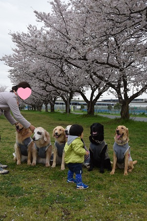 16040613.jpg