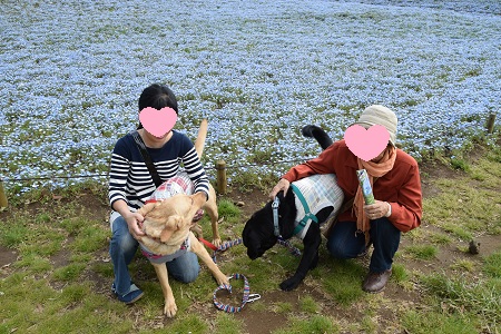 16042404.jpg