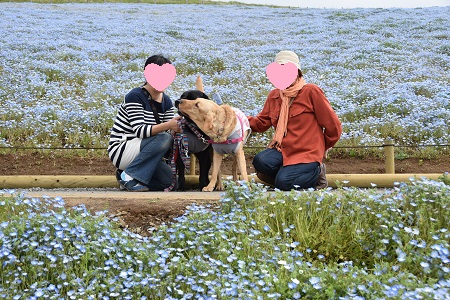 16042406.jpg