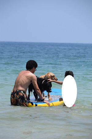 16060807.jpg