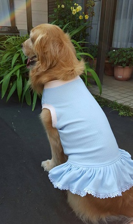 16070406.jpg