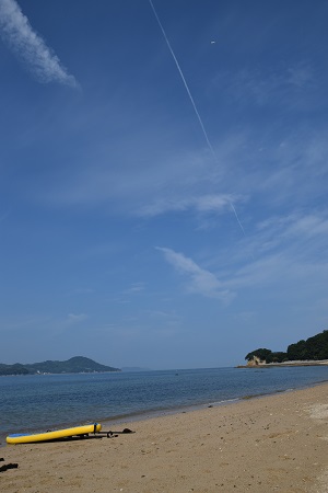16082921.jpg
