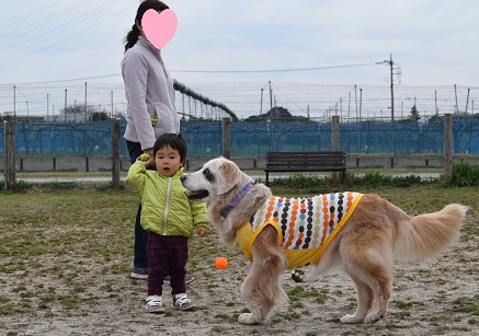 17032303.jpg