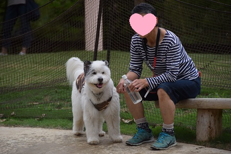 17060712.jpg