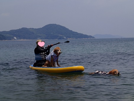 17072712.jpg