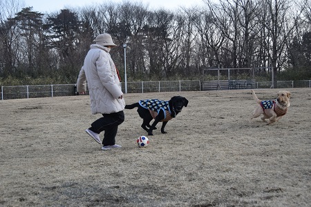 18013101.jpg