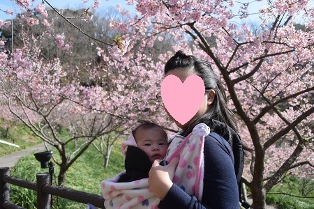 18033002.jpg