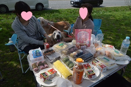 18033103.jpg