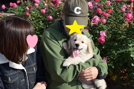 18120402.jpg