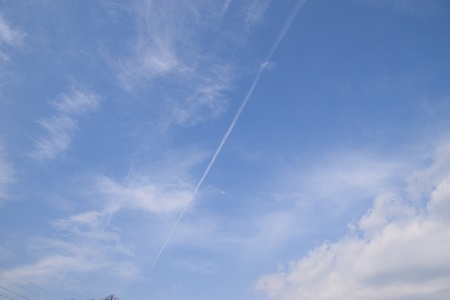 19033004.jpg