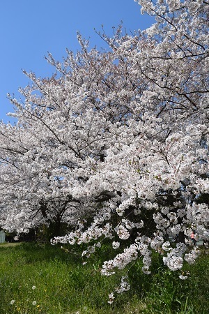 19041301.jpg