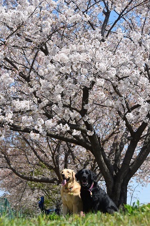 19041306.jpg