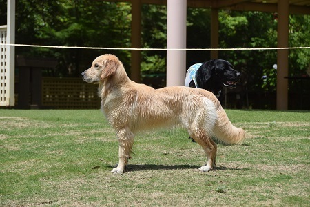 19061913.jpg