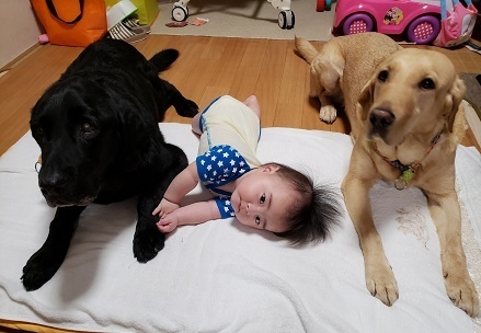 19072301.jpg