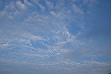 19081802.jpg