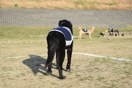 20022507.jpg