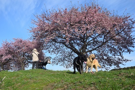 20030304.jpg