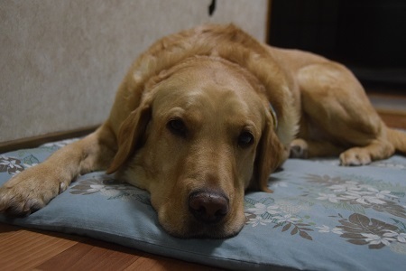 20031104.jpg