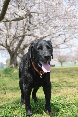 20032605.jpg