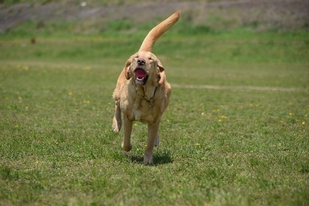 20040901.jpg