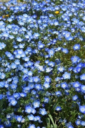 20041305.jpg